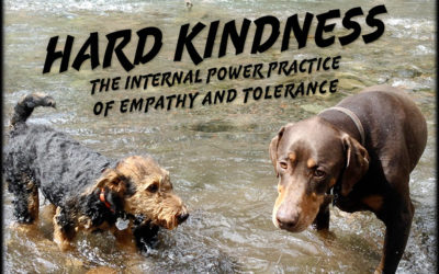 Hard Kindness – The Internal Power Practice of Empathy and Tolerance