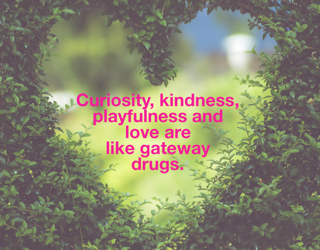 Curiosity, kindness, playfulness and love are like gateway drugs