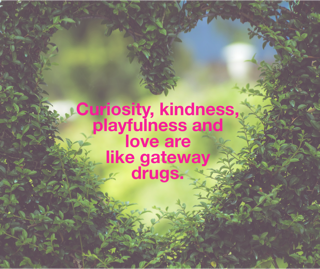 Curiosity, kindness, playfulness and love are like ¨gateway drugs¨ to a deeply satiating sense of fulfillment.